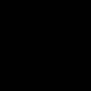 Meet your Posher, Jayden